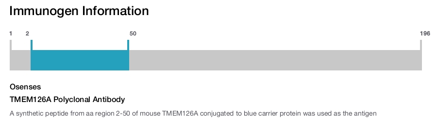 TMEM126A Polyclonal Antibody