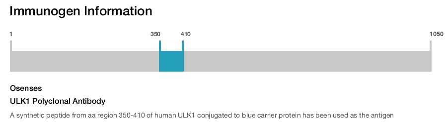 ULK1 Polyclonal Antibody