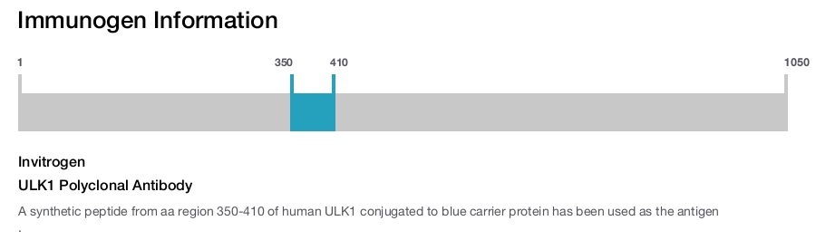 ULK1 Polyclonal Antibody