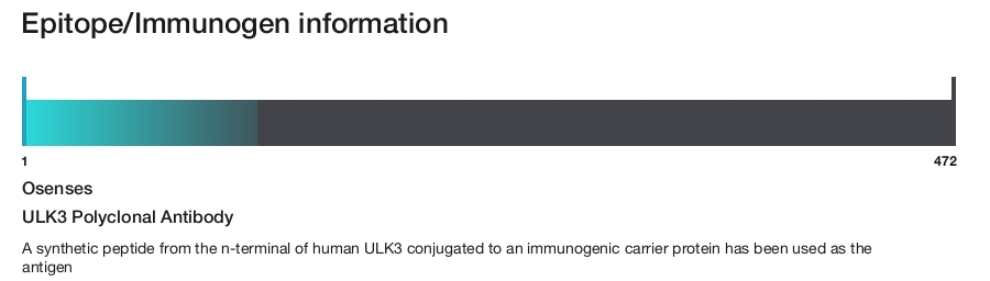 ULK3 Polyclonal Antibody