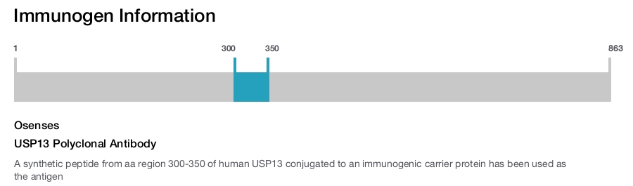 USP13 Polyclonal Antibody