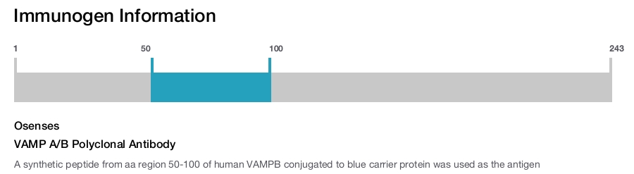 VAMP A/B Polyclonal Antibody