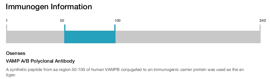 VAMP A/B Polyclonal Antibody