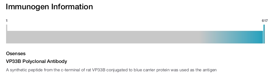 VP33B Polyclonal Antibody