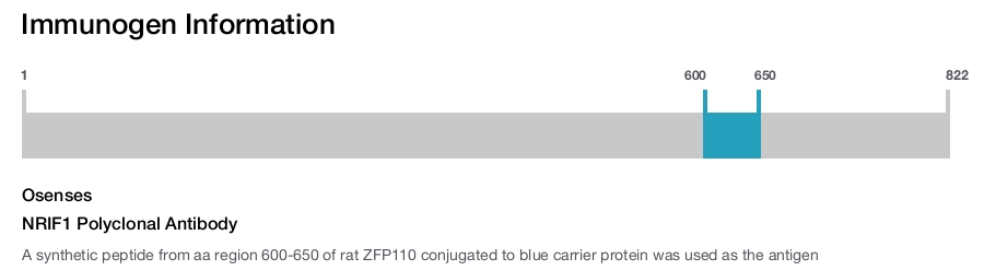 NRIF1 Polyclonal Antibody