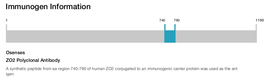 ZO2 Polyclonal Antibody