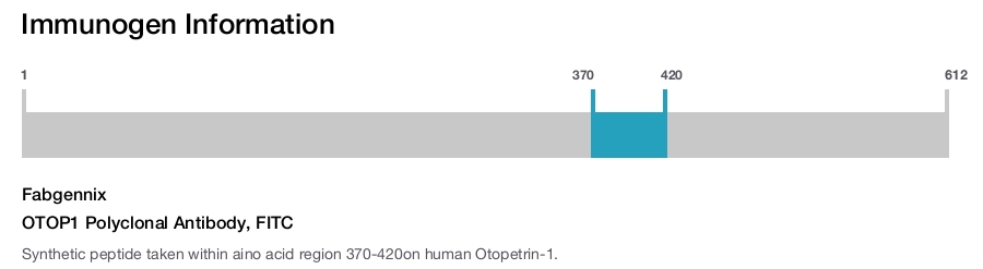 OTOP1 Polyclonal Antibody, FITC