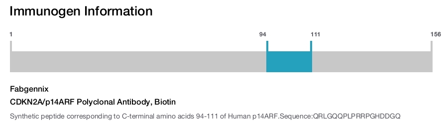 CDKN2A/p14ARF Polyclonal Antibody, Biotin