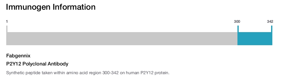 P2Y12 Polyclonal Antibody