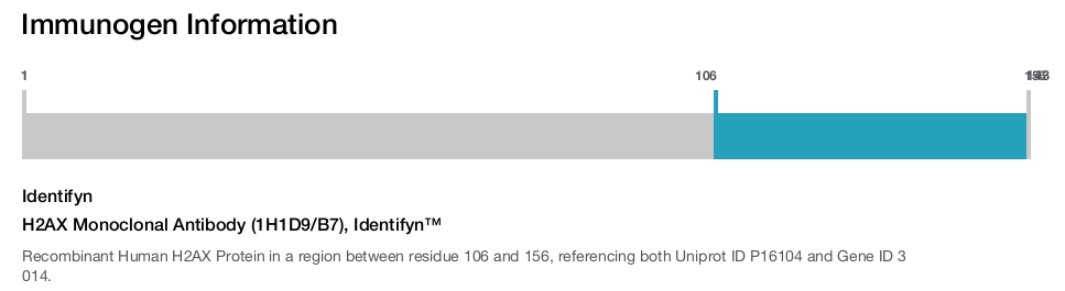 H2AX Monoclonal Antibody (1H1D9/B7), Identifyn™