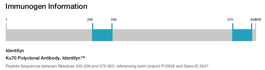 Ku70 Polyclonal Antibody, Identifyn™