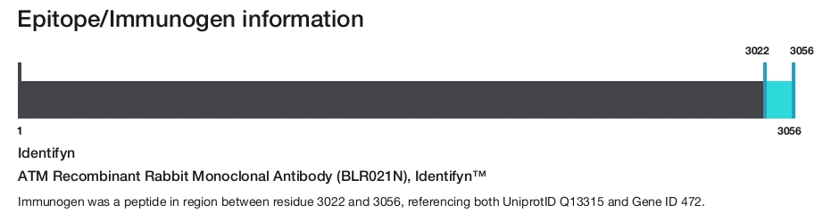 ATM Recombinant Rabbit Monoclonal Antibody (BLR021N), Identifyn&trade;