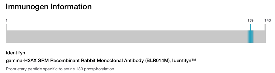 gamma-H2AX SRM Recombinant Rabbit Monoclonal Antibody (BLR014M), Identifyn™