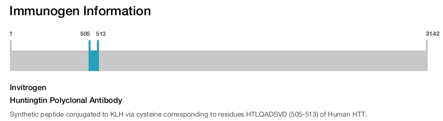 Huntingtin Polyclonal Antibody