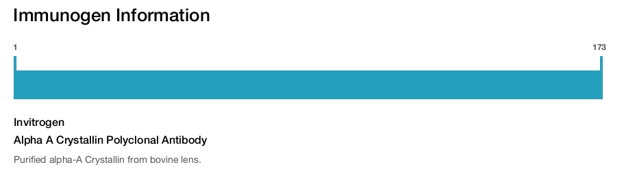 Alpha A Crystallin Polyclonal Antibody