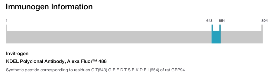 KDEL Polyclonal Antibody, Alexa Fluor™ 488