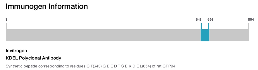 KDEL Polyclonal Antibody