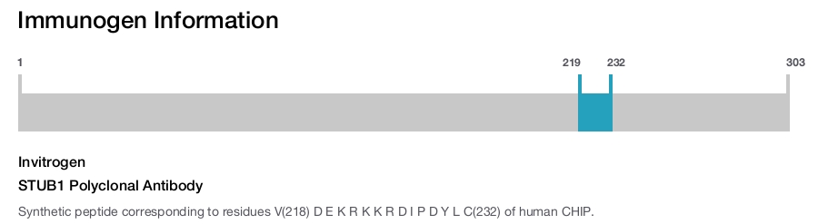 STUB1 Polyclonal Antibody