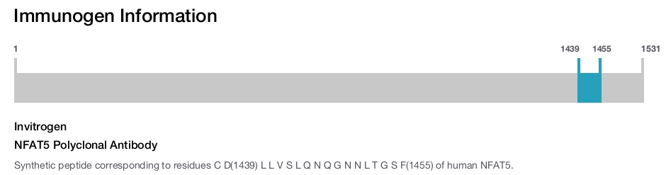 NFAT5 Polyclonal Antibody