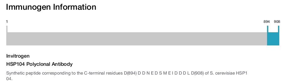 HSP104 Polyclonal Antibody