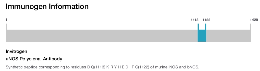uNOS Polyclonal Antibody