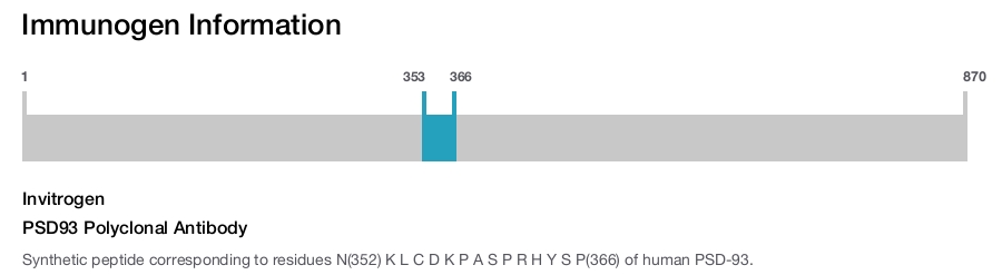 PSD93 Polyclonal Antibody