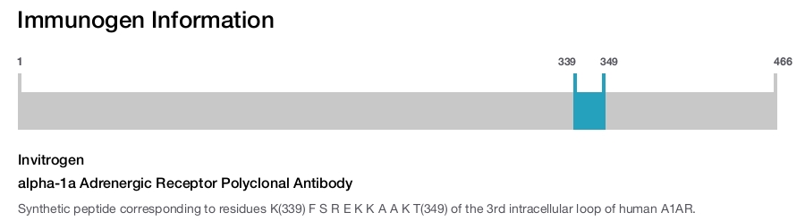 alpha-1a Adrenergic Receptor Polyclonal Antibody