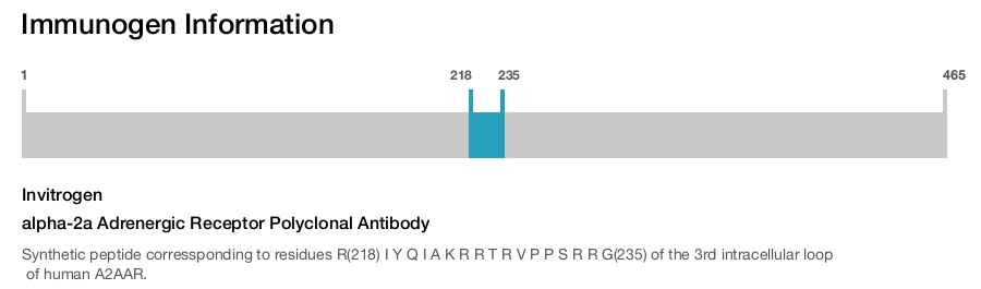 alpha-2a Adrenergic Receptor Polyclonal Antibody