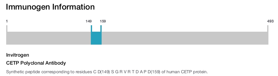 CETP Polyclonal Antibody