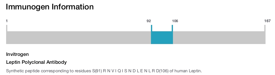 Leptin Polyclonal Antibody