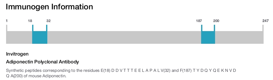 Adiponectin Polyclonal Antibody