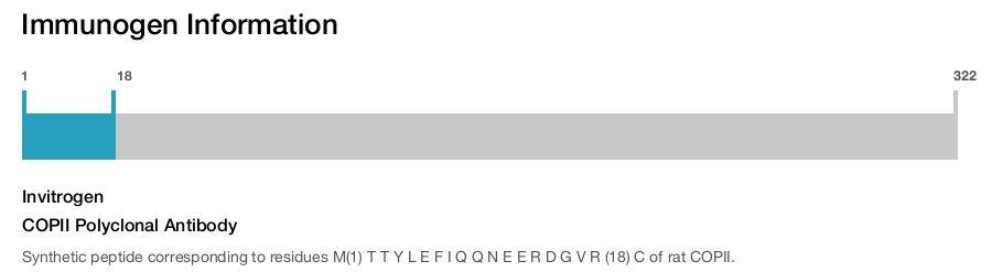 COPII Polyclonal Antibody