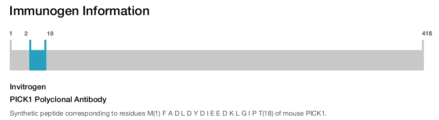 PICK1 Polyclonal Antibody