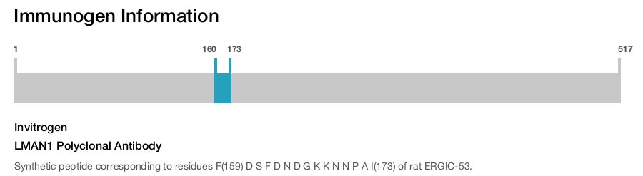 LMAN1 Polyclonal Antibody