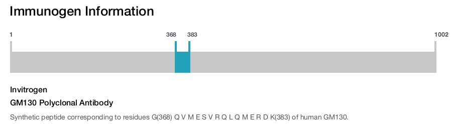 GM130 Polyclonal Antibody