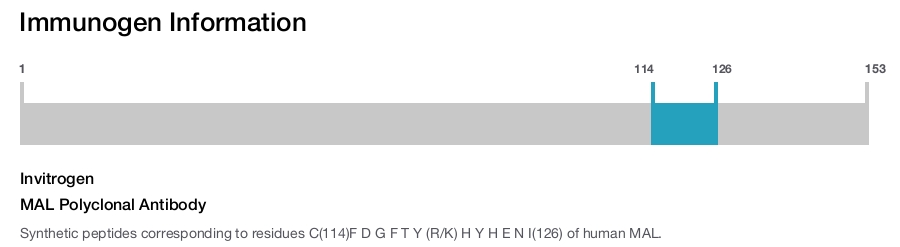 MAL Polyclonal Antibody