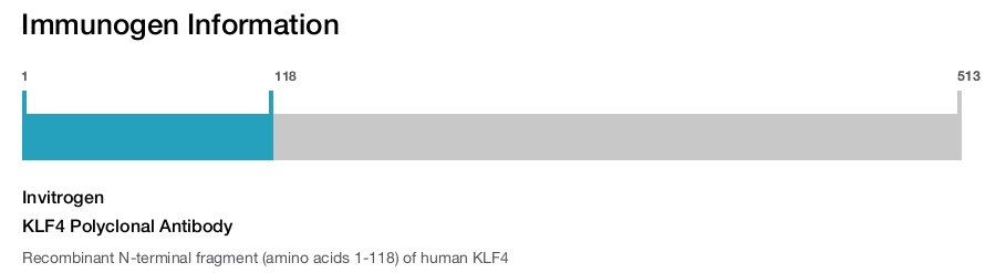 KLF4 Polyclonal Antibody