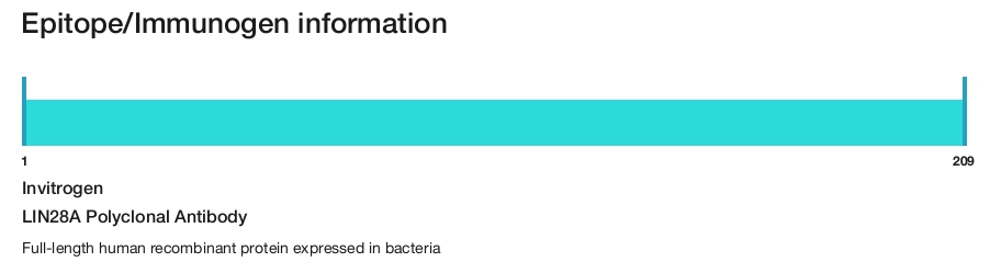 LIN28A Polyclonal Antibody