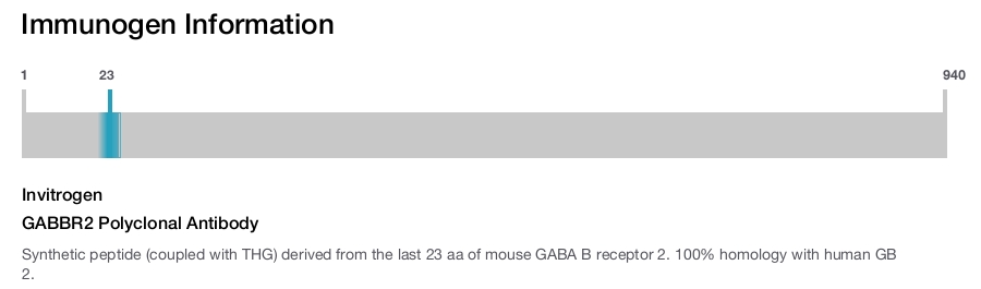 GABBR2 Polyclonal Antibody