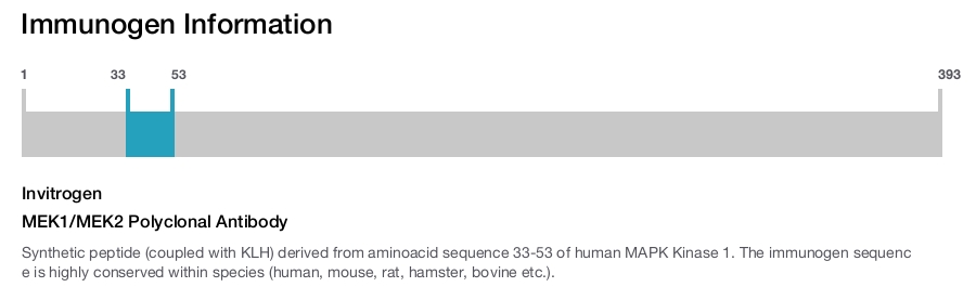 MEK1/MEK2 Polyclonal Antibody
