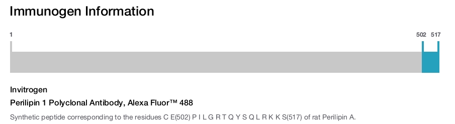 Perilipin 1 Polyclonal Antibody, Alexa Fluor™ 488
