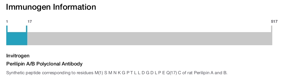 Perilipin A/B Polyclonal Antibody