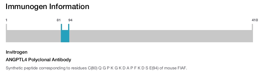 ANGPTL4 Polyclonal Antibody