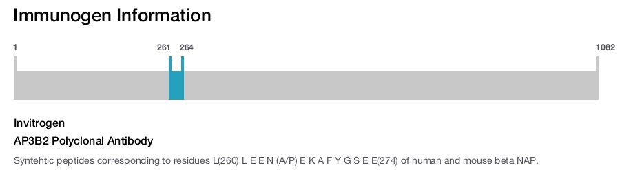 AP3B2 Polyclonal Antibody
