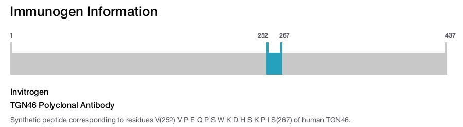 TGN46 Polyclonal Antibody