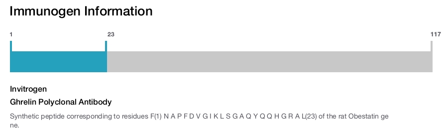 Ghrelin Polyclonal Antibody