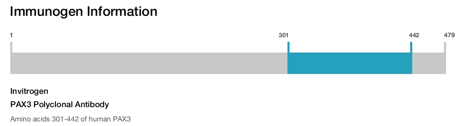 PAX3 Polyclonal Antibody