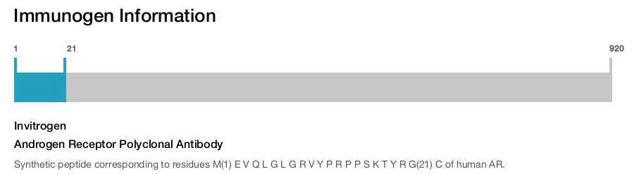 Androgen Receptor Polyclonal Antibody