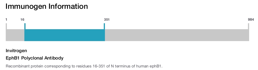 EphB1 Polyclonal Antibody