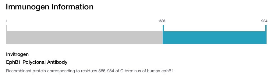EphB1 Polyclonal Antibody